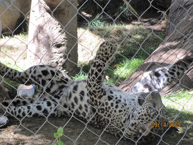 Picture 117